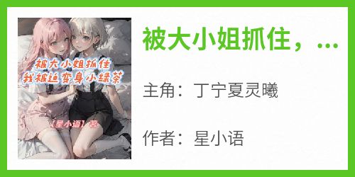 丁宁夏灵曦完整版《被大小姐抓住，我被迫变身小绿茶》全文最新阅读