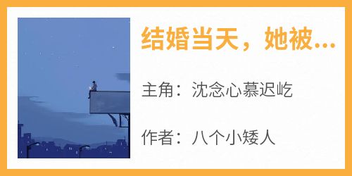 主角沈念心慕迟屹小说完整版-结婚当天，她被神秘总裁拦腰亲吻免费阅读全文