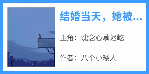 知乎小说结婚当天，她被神秘总裁拦腰亲吻主角是沈念心慕迟屹全文阅读