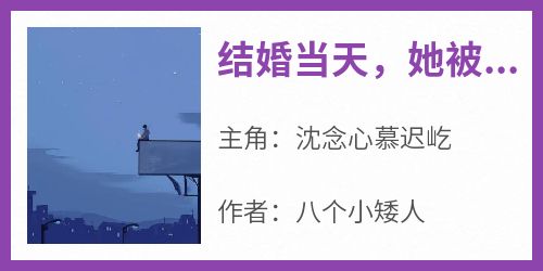 八个小矮人的小说《结婚当天，她被神秘总裁拦腰亲吻》主角是沈念心慕迟屹