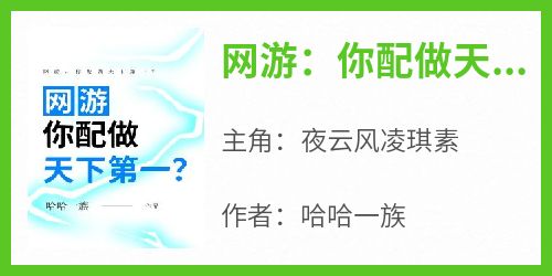 网游：你配做天下第一？(夜云风凌琪素)全文章节在线阅读