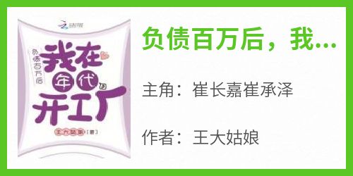 负债百万后，我在年代开工厂小说最新章节-主角崔长嘉崔承泽全文免费阅读