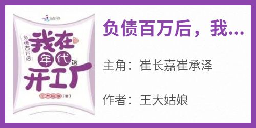 负债百万后，我在年代开工厂在哪免费看，崔长嘉崔承泽小说章节目录阅读