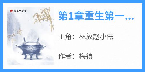 第1章重生第一天林放赵小霞小说全文章节阅读