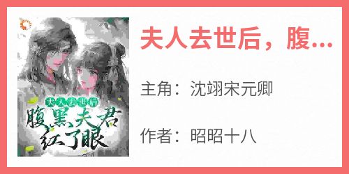 夫人去世后，腹黑夫君红了眼小说(完整版)-沈翊宋元卿章节阅读