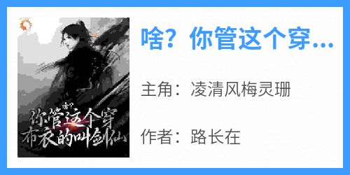 啥？你管这个穿布衣的叫剑仙小说主角是凌清风梅灵珊全文完整版阅读