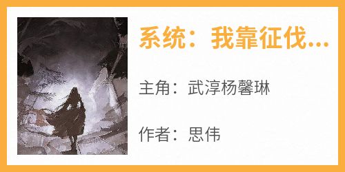 火爆系统：我靠征伐世界变强小说，主角是武淳杨馨琳在线阅读全文无删减