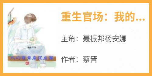 抖音爆款《重生官场：我的背景有亿点强》聂振邦杨安娜无广告阅读