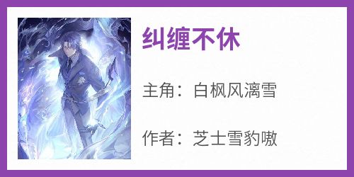 《纠缠不休白枫风漓雪》纠缠不休全文免费阅读【完整章节】