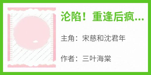 沦陷！重逢后疯批大佬把她宠成心尖尖在哪免费看，宋慈和沈君年小说章节目录阅读