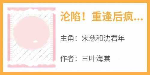 独家沦陷！重逢后疯批大佬把她宠成心尖尖小说-主角宋慈和沈君年全文免费阅读