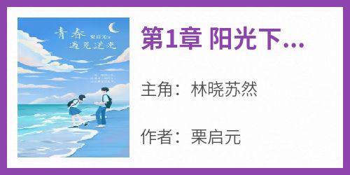 林晓苏然小说全文免费阅读第1章 阳光下的初遇与挑战全文免费阅读