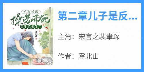 《第二章儿子是反派宋言之裴聿琛》第二章儿子是反派全文免费阅读【完整章节】