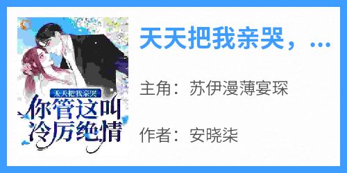 天天把我亲哭，你管这叫冷厉绝情？全集小说_苏伊漫薄宴琛完结版阅读