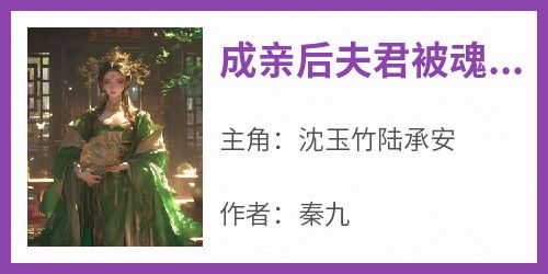 《成亲后夫君被魂穿了》精彩章节-成亲后夫君被魂穿了免费阅读全文