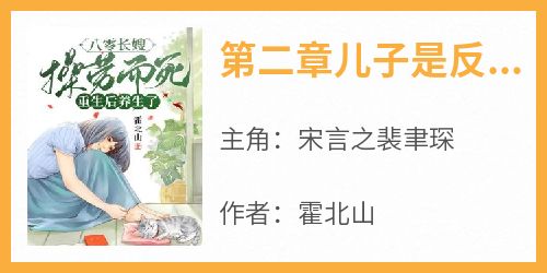 (热推新书)《第二章儿子是反派》宋言之裴聿琛无弹窗阅读