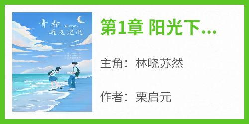林晓苏然《第1章 阳光下的初遇与挑战》完结版小说全文免费阅读