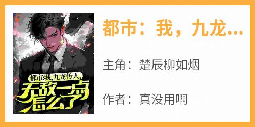 抖音爆款《都市：我，九龙传人，无敌一点怎么了》楚辰柳如烟无广告阅读