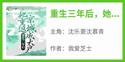 重生三年后，她重返京城成大户小说免费版阅读抖音热文