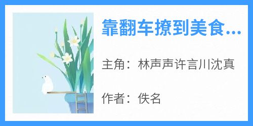 《靠翻车撩到美食up主林声声许言川沈真》靠翻车撩到美食up主全文免费阅读【完整章节】