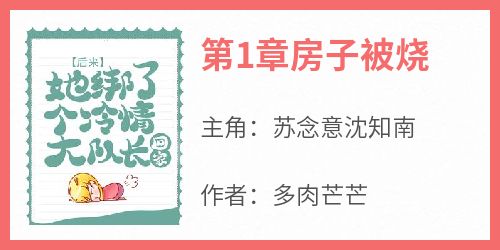 《第1章房子被烧苏念意沈知南》第1章房子被烧全文免费阅读【完整章节】