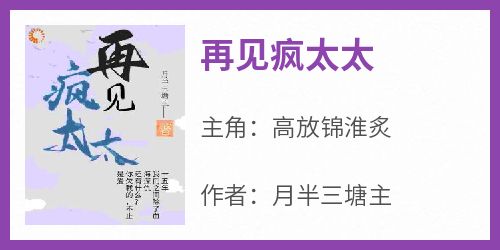 《再见疯太太》快手热推高放锦淮炙免费阅读