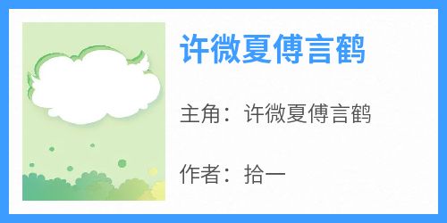 爆款小说《许微夏傅言鹤》主角许微夏傅言鹤全文在线完本阅读