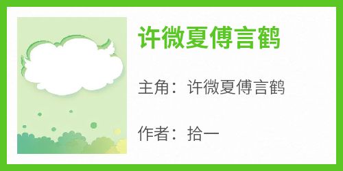 爆款热文许微夏傅言鹤在线阅读-《许微夏傅言鹤》全章节列表