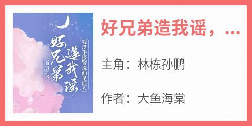 精彩小说好兄弟造我谣，我反手报警说他是证人林栋孙鹏全章节在线阅读