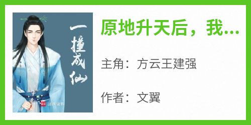 方云王建强全本章节在线阅读大结局