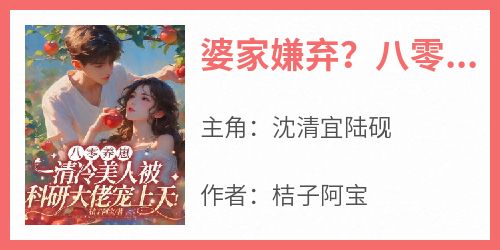 婆家嫌弃？八零大院美人纯又撩未删减阅读