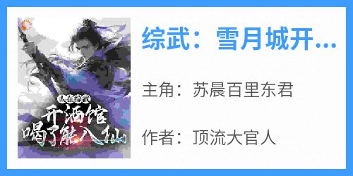 《综武：雪月城开酒馆，李寒衣上门》完整版-苏晨百里东君在线全文阅读