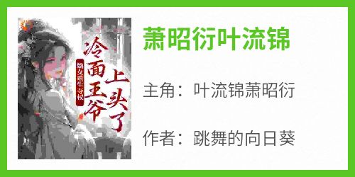 萧昭衍叶流锦全本小说（萧昭衍叶流锦）全文阅读