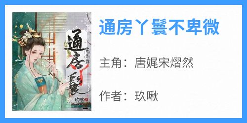 通房丫鬟不卑微主角是唐娓宋熠然小说百度云全文完整版阅读