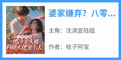 快手婆家嫌弃？八零大院美人纯又撩小说全本章节大结局