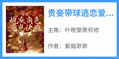 《贵妾带球逃恋爱脑王爷追着跑》完整版-叶晚黎萧祁修在线全文阅读