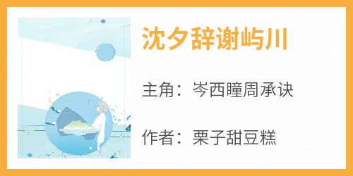 《沈夕辞谢屿川岑西瞳周承诀》沈夕辞谢屿川全文免费阅读【完整章节】