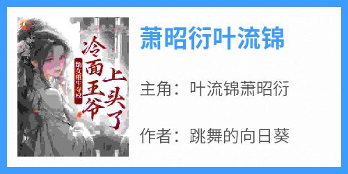 书荒必备《萧昭衍叶流锦》全文章节阅读