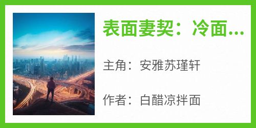 《表面妻契：冷面总裁难伺养》最新章节免费阅读by白醋凉拌面无广告小说