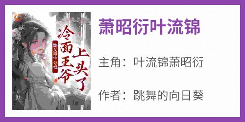 百度贴吧小说萧昭衍叶流锦，主角叶流锦萧昭衍全文免费