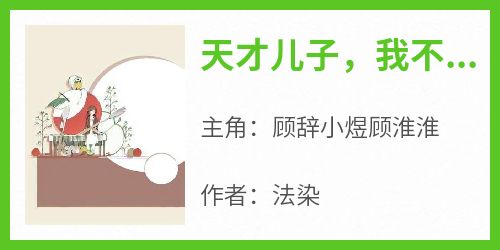 抖音爆款小说《天才儿子，我不要了顾辞小煜顾淮淮》免费txt全文阅读