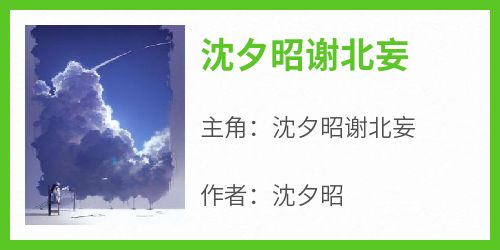 《沈夕昭谢北妄》沈夕昭谢北妄无广告在线阅读