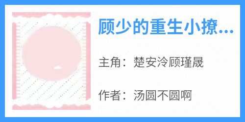 全章节小说顾少的重生小撩妻又甜又野汤圆不圆啊最新阅读