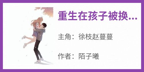 《重生在孩子被换之前》完整版-徐枝赵蔓蔓在线全文阅读