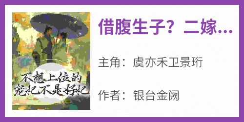 全章节小说借腹生子？二嫁宠妃偏要步步高升银台金阙最新阅读