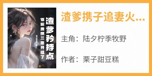 陆夕柠季牧野小说哪里可以看 小说《渣爹携子追妻火葬场》全文免费阅读