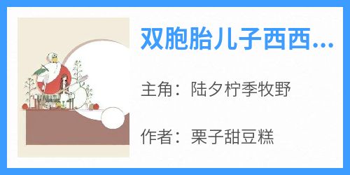 栗子甜豆糕的小说《双胞胎儿子西西阿姨》全文阅读