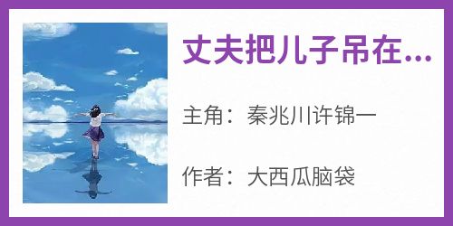 丈夫把儿子吊在直升机上讨好白月光小说(完结)-秦兆川许锦一章节阅读