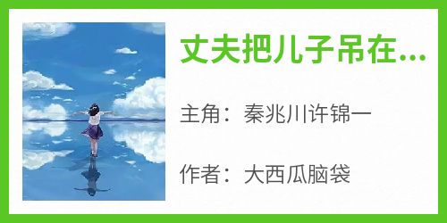 丈夫把儿子吊在直升机上讨好白月光(全章节)-秦兆川许锦一在线阅读