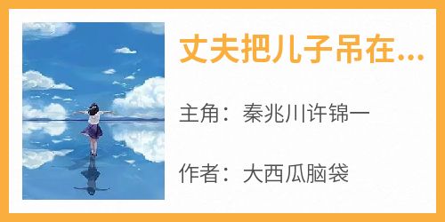 全网首发完整小说丈夫把儿子吊在直升机上讨好白月光主角秦兆川许锦一在线阅读